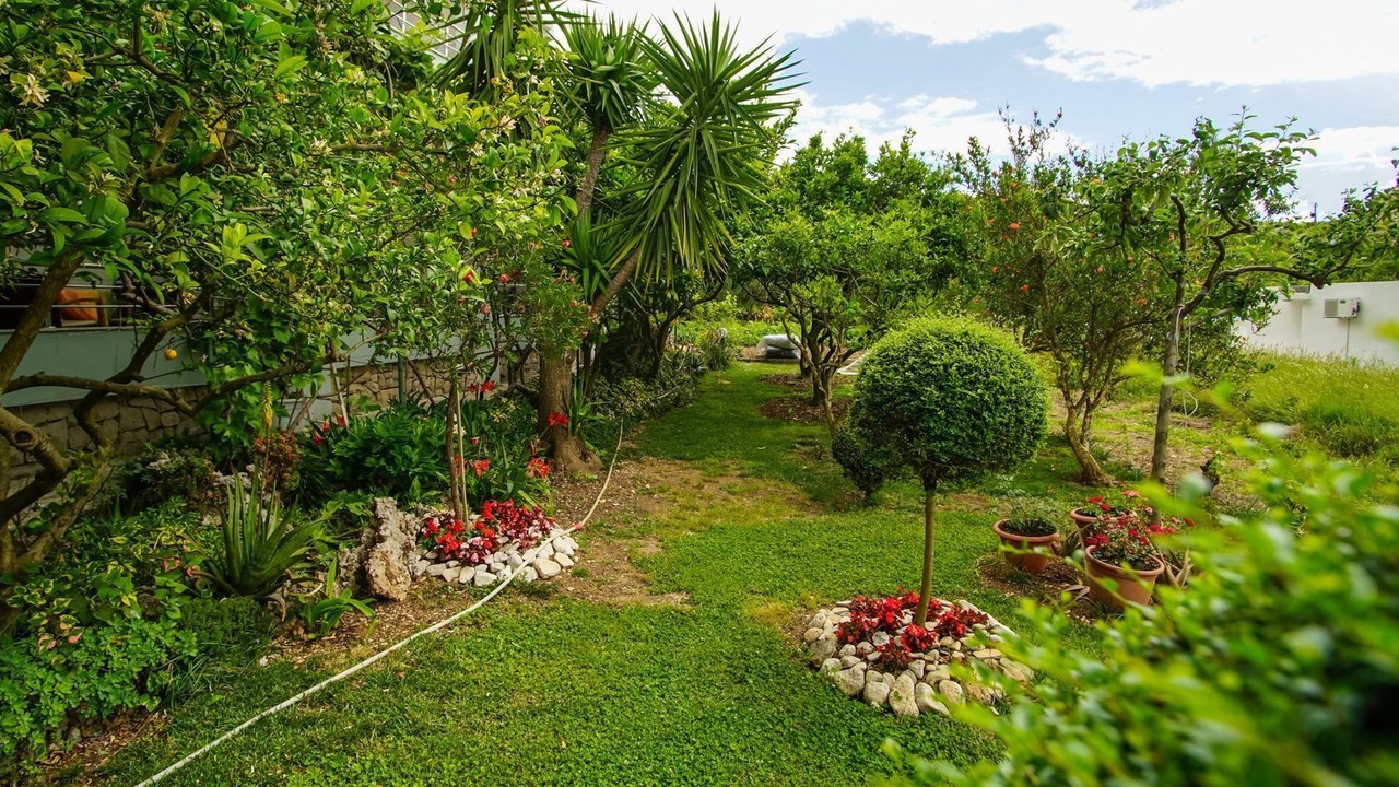 Photo of Outdoor in Promajna