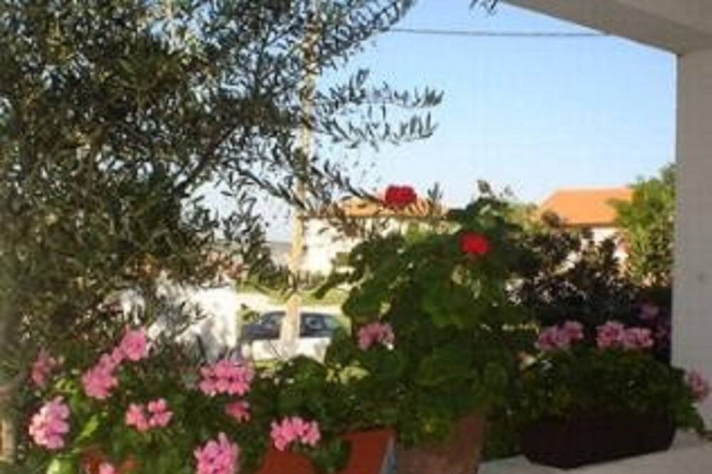 Photo of Outdoor in Rtina