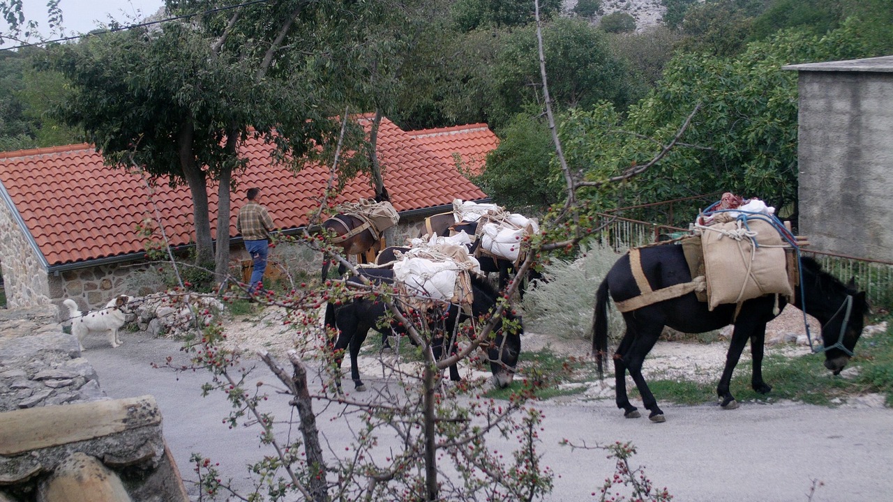 Photo of Outdoor in Tribanj