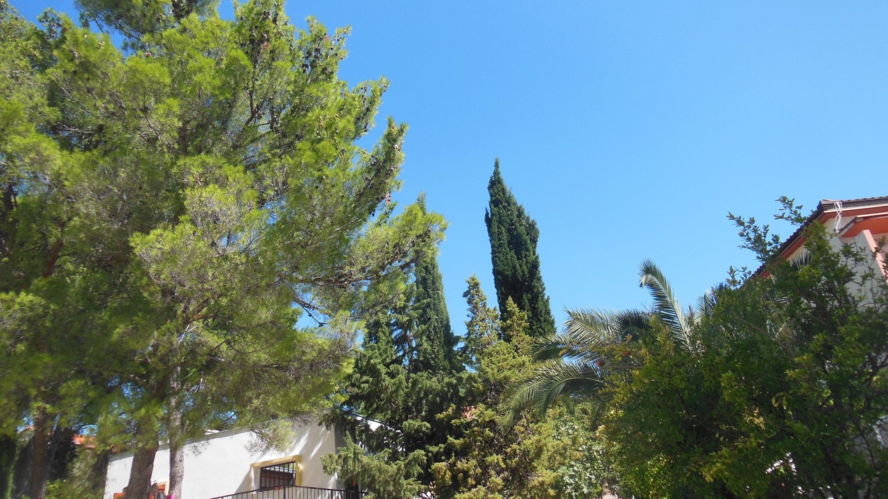 Photo of Others in Zaboric