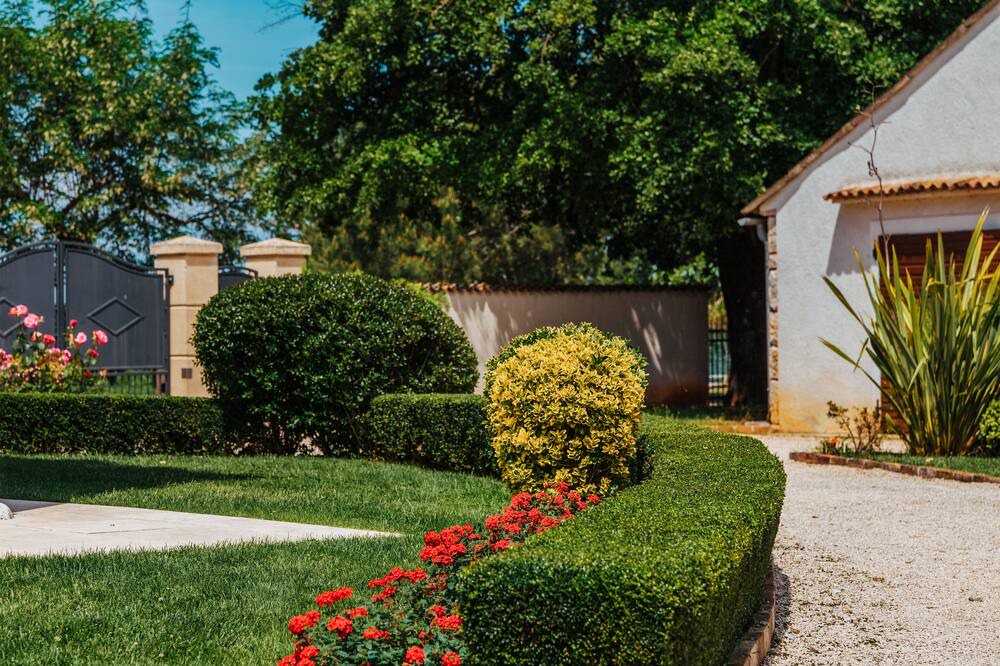 Photo of Outdoor in Babici