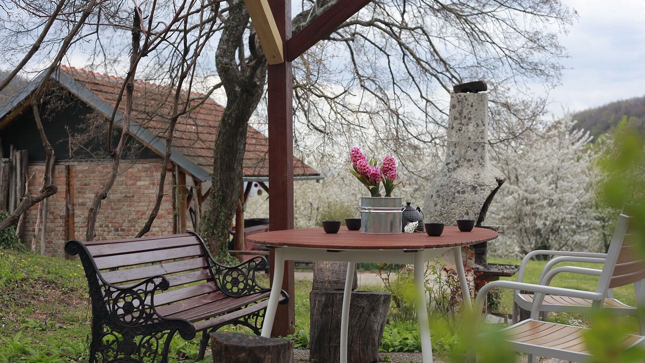 Photo of Outdoor in Breznik Plesivicki
