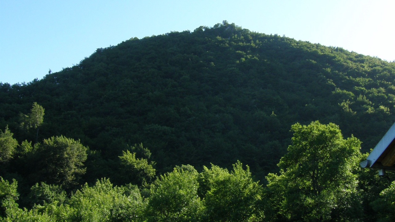 Photo of Outdoor in Breznik Plesivicki