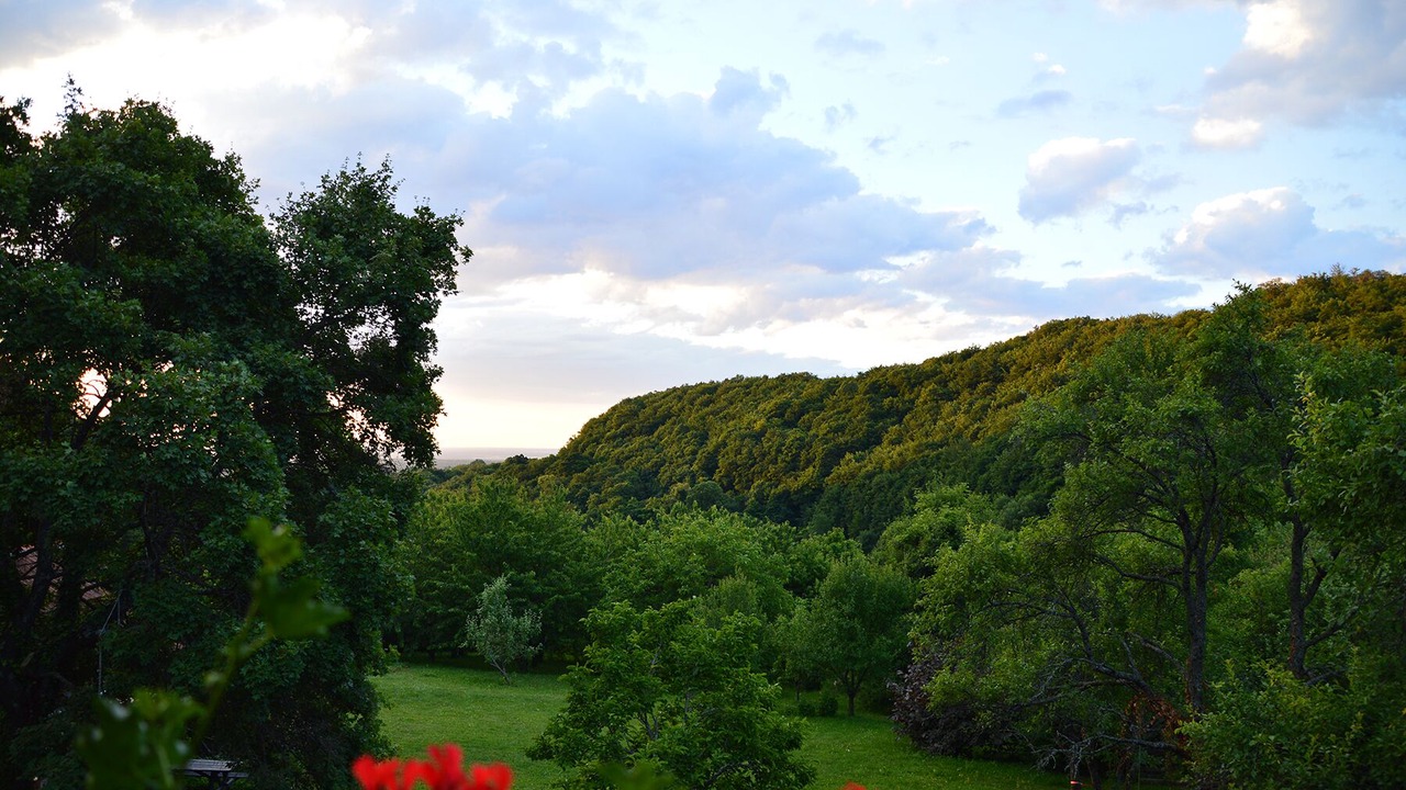 Photo of Outdoor in Breznik Plesivicki