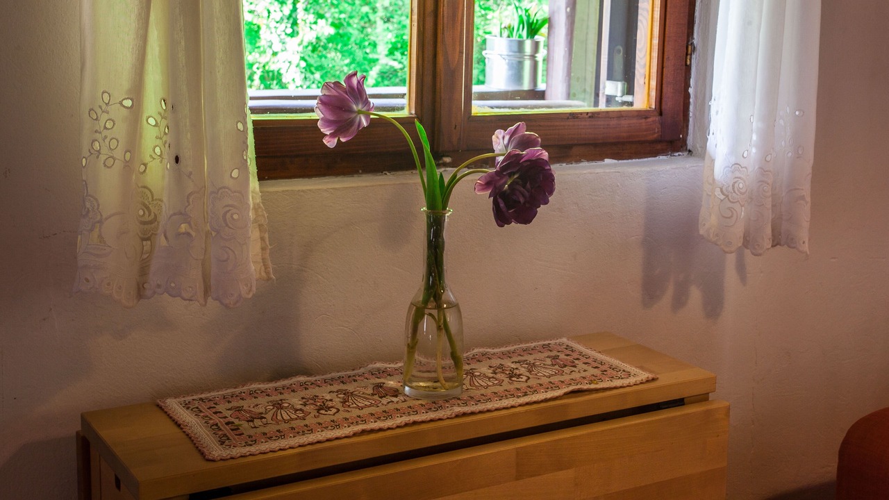 Photo of Others in Breznik Plesivicki