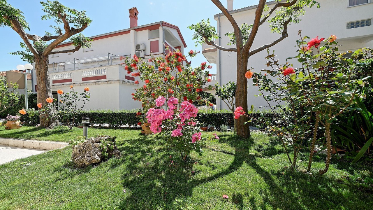 Photo of Outdoor in Palit