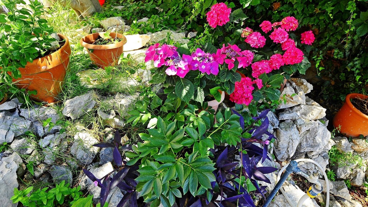 Photo of Outdoor in Primosten