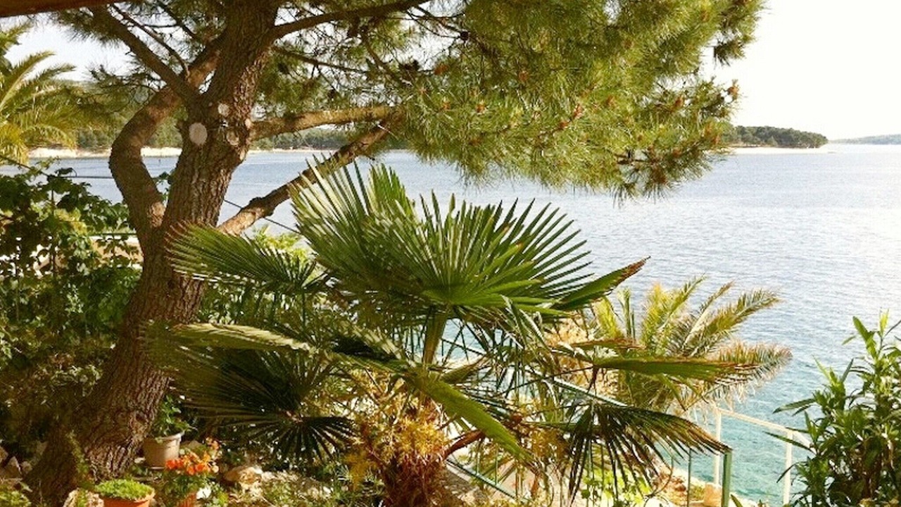 Photo of Outdoor in Primosten