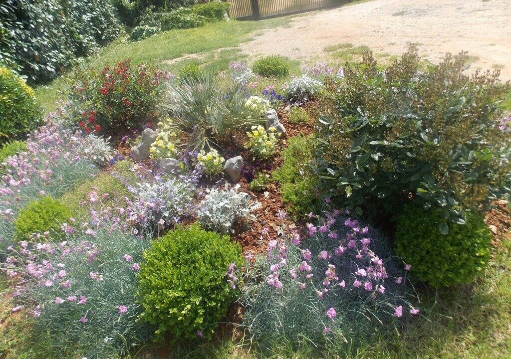 Photo of Outdoor in Opric