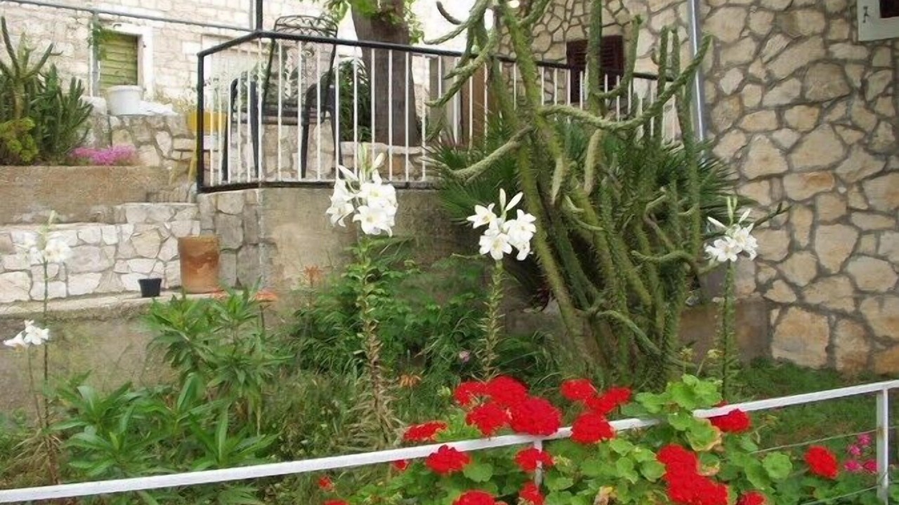 Photo of Outdoor in Podstrazje