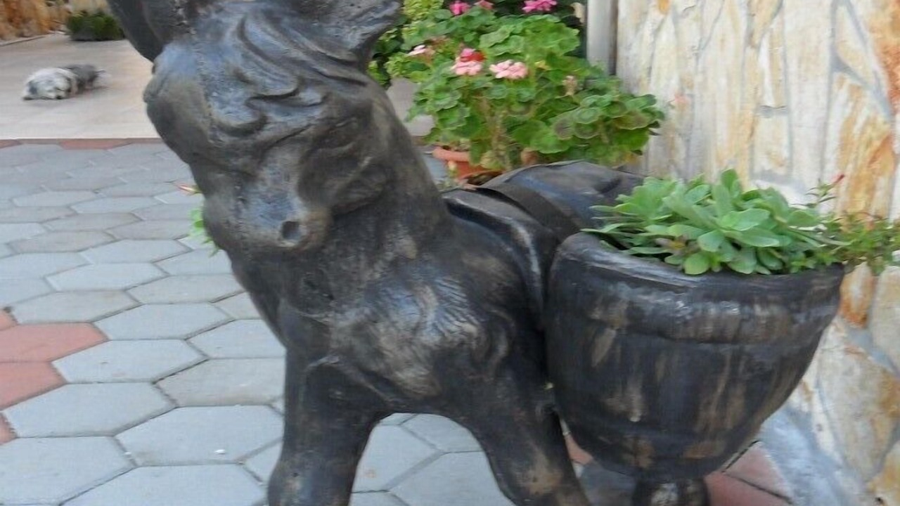 Photo of Outdoor in Dvornica