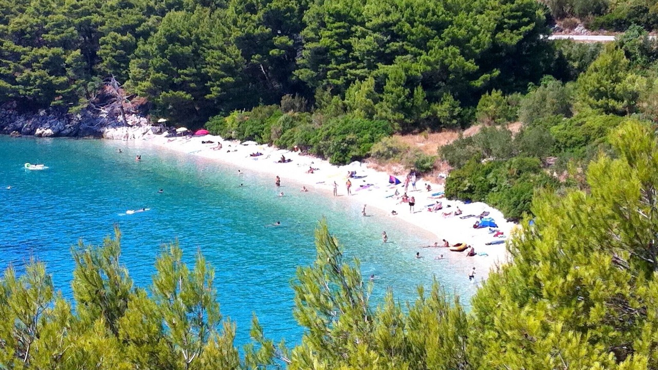 Photo of Others in Drvenik