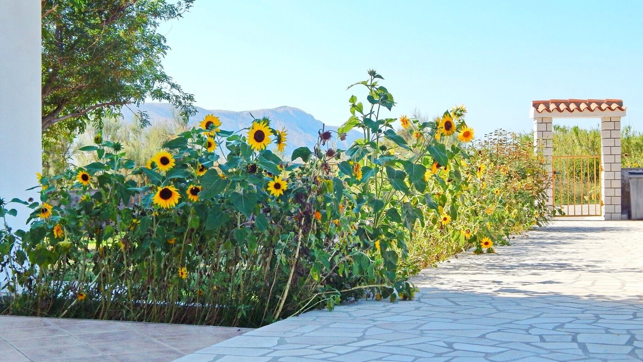 Photo of Outdoor in Zrce
