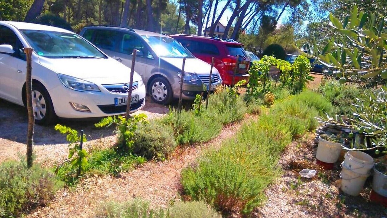 Photo of Outdoor in Biograd na Moru
