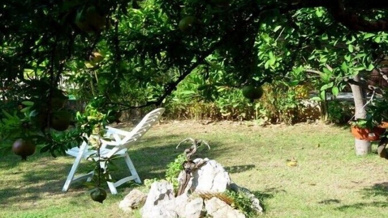 Photo of Outdoor in Murter