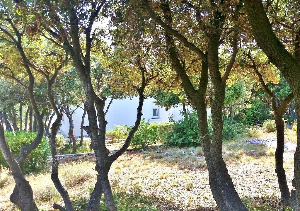 Photo of Outdoor in Mandre