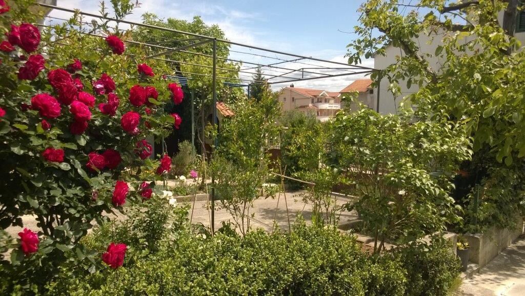 Photo of Outdoor in Vodice
