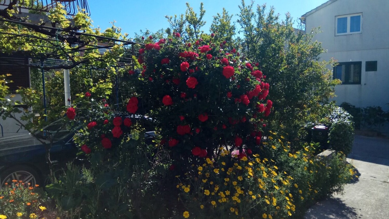 Photo of Outdoor in Vodice