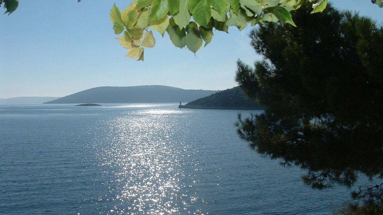 Photo of Others in Vinisce
