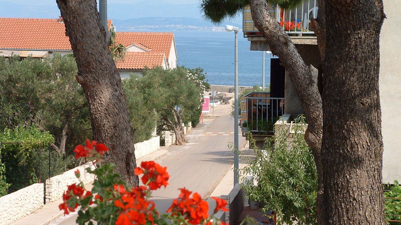 Photo of Outdoor in Mirce