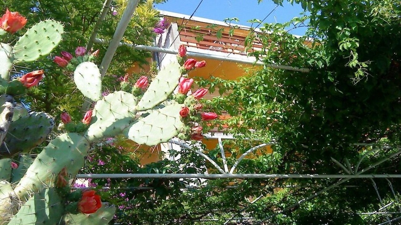 Photo of Outdoor in Bili brig