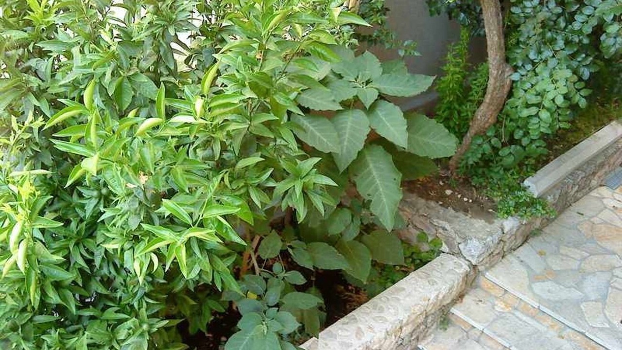 Photo of Outdoor in Bili brig