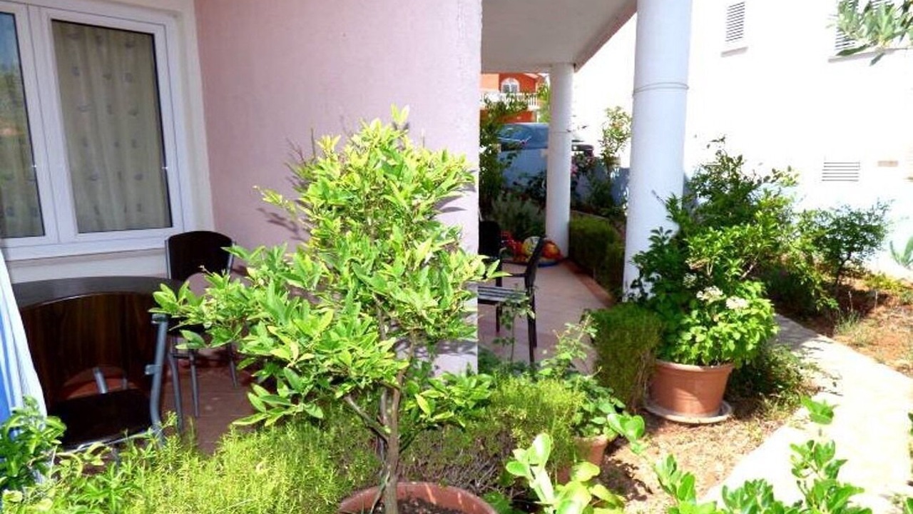 Photo of Outdoor in Jezera