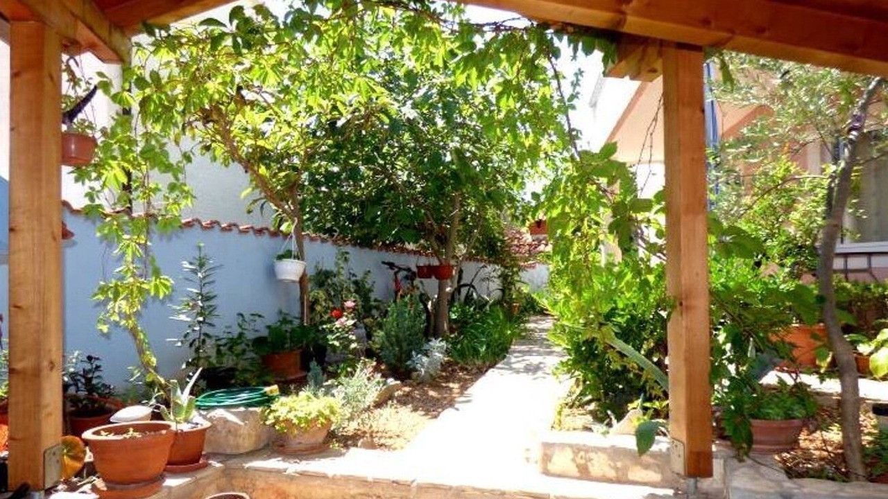 Photo of Outdoor in Jezera