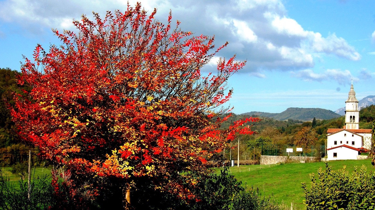 Photo of Outdoor in Kodreti