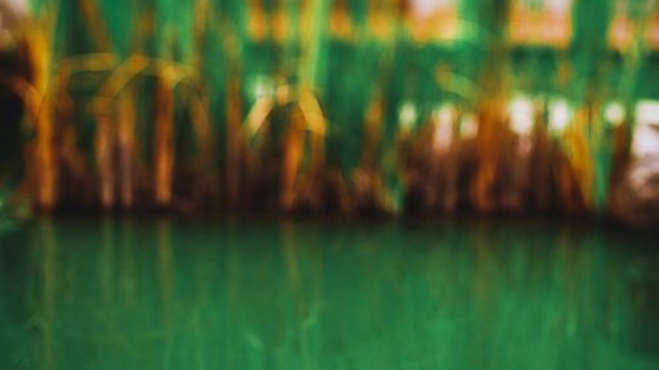 Photo of Outdoor in Kodreti
