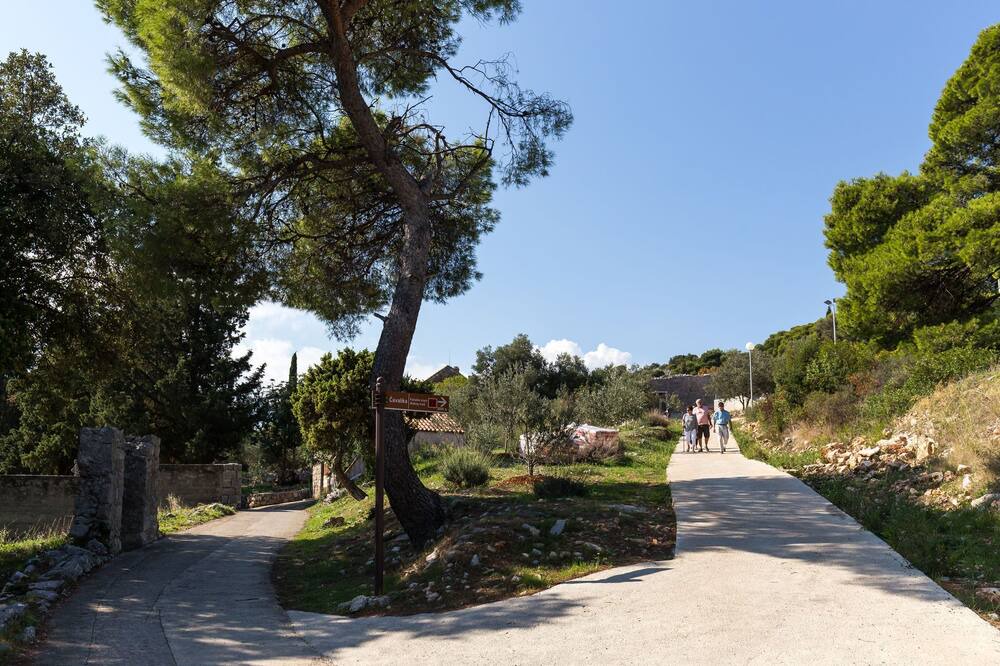 Photo of Others in Kolocep Island