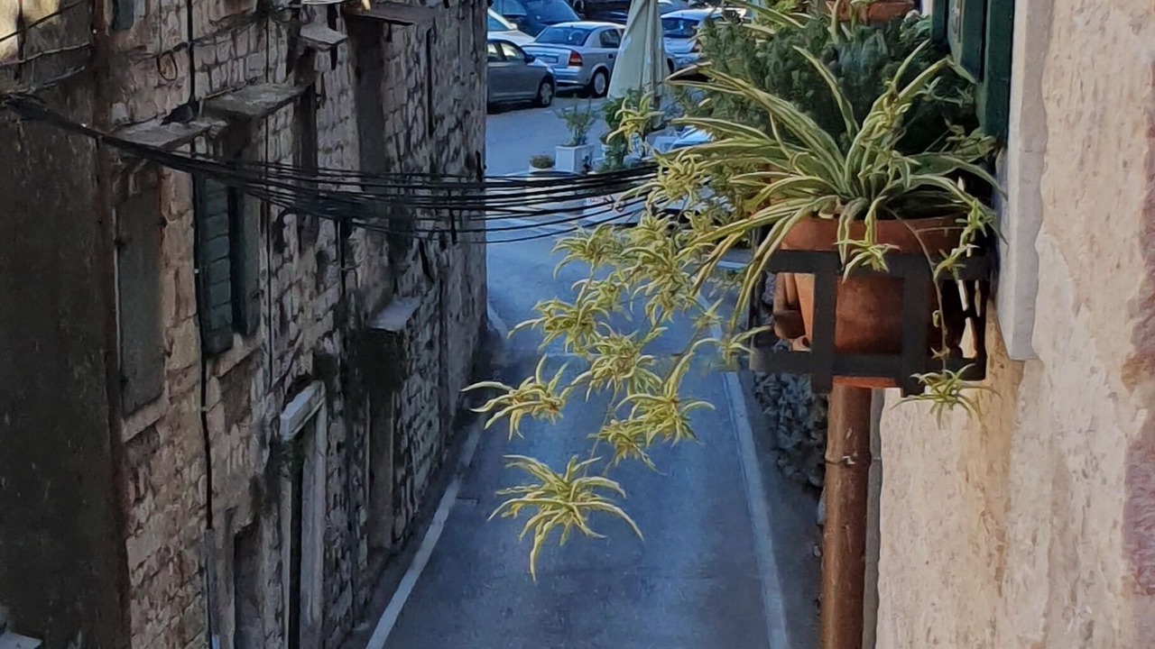 Photo of Others in Sibenik Old Town
