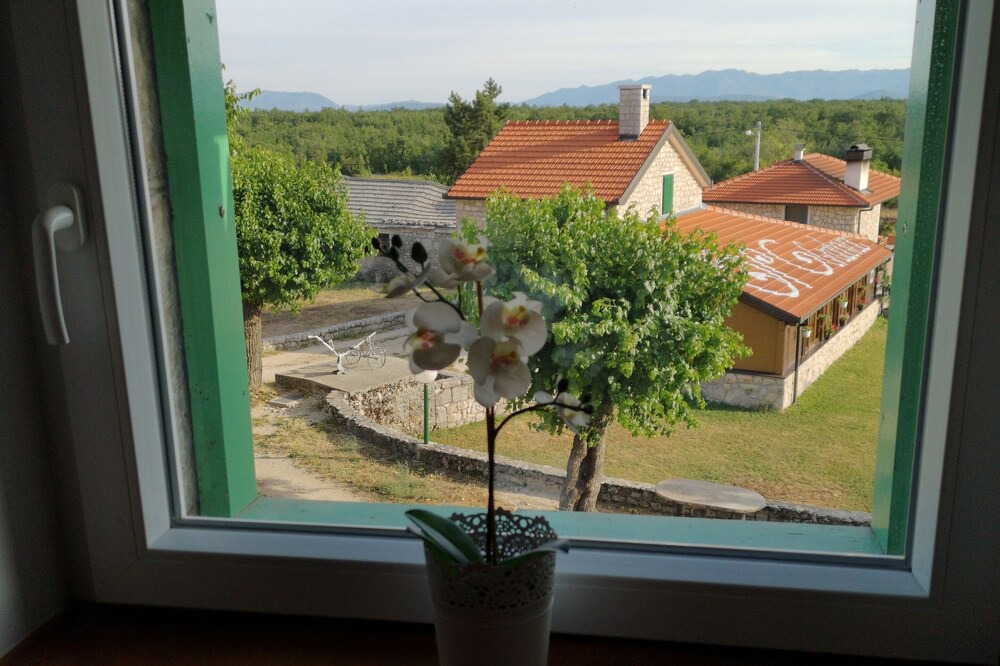 Photo of Others in Gornji Prolozac