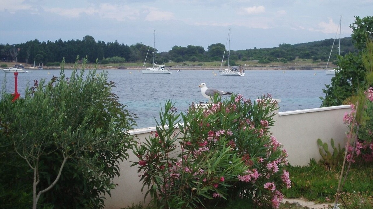 Photo of Outdoor in Ilovik