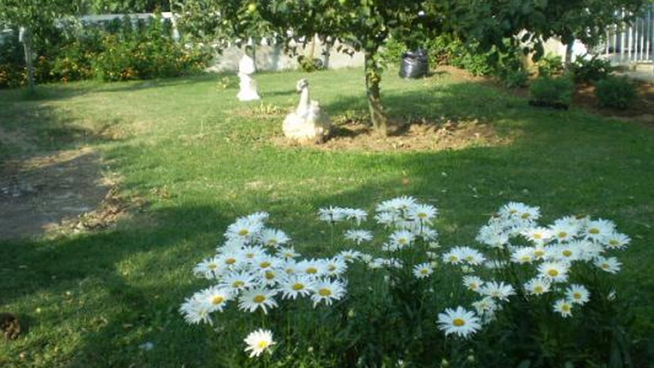 Photo of Outdoor in Privlaka