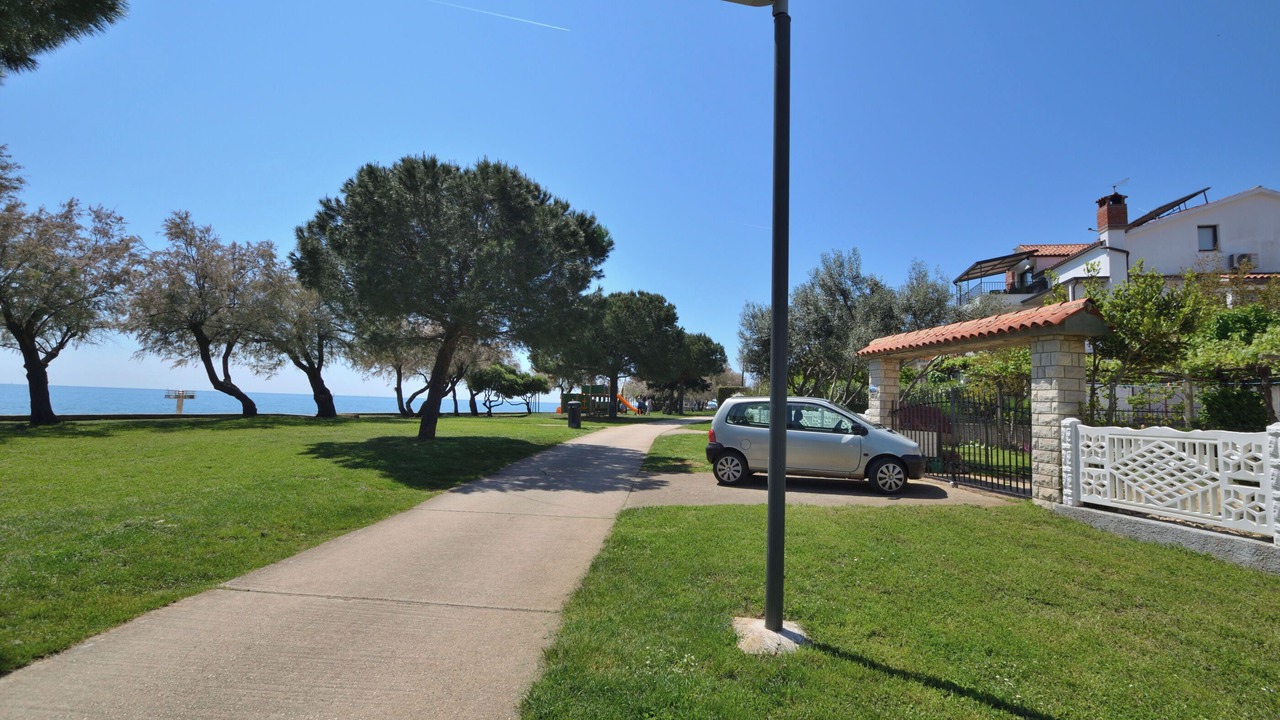 Photo of Others in Novigrad