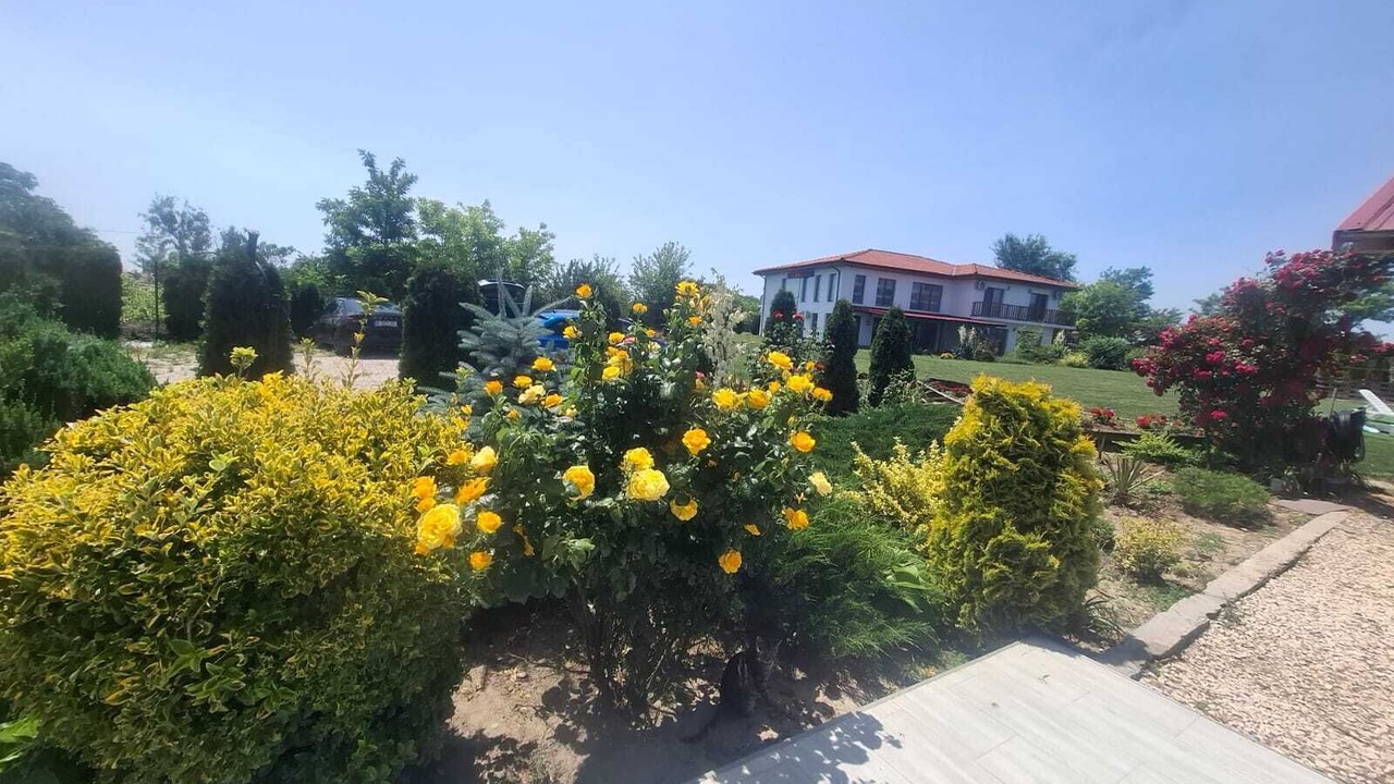 Photo of Outdoor in Murighiol