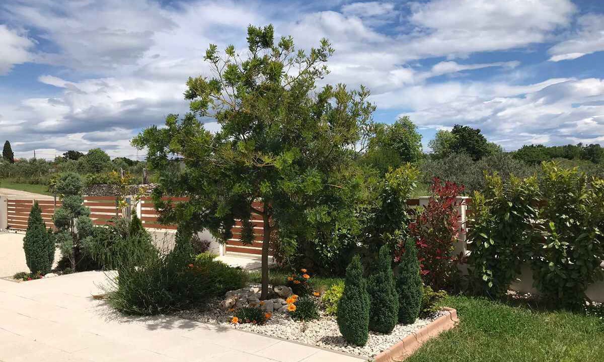 Photo of Outdoor in Galizana