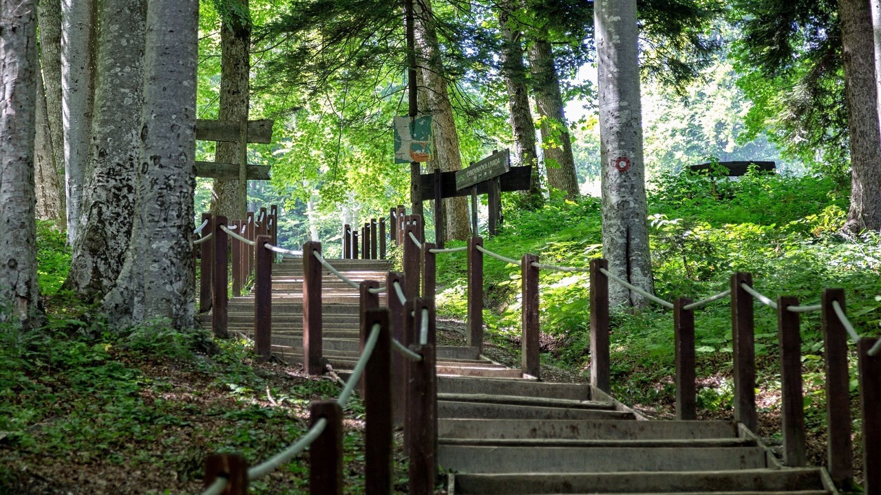 Photo of Outdoor in Zagreb