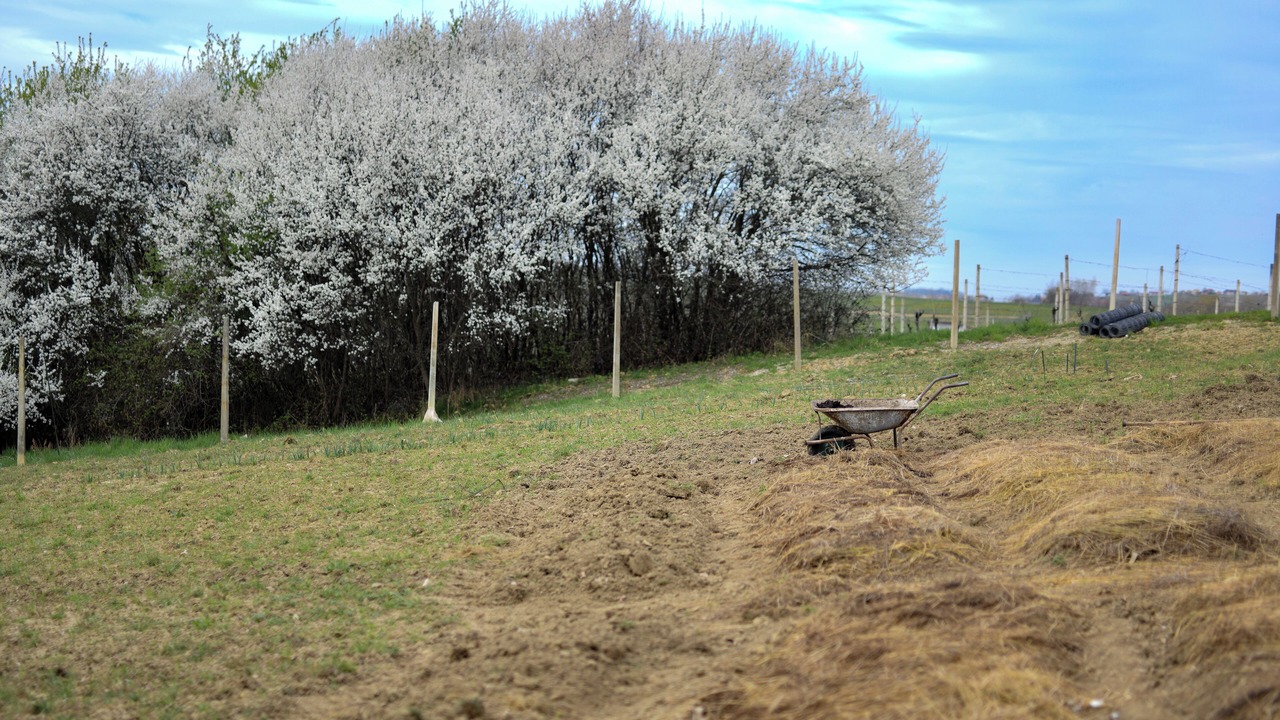 Photo of Outdoor in Gornji Mihaljevec
