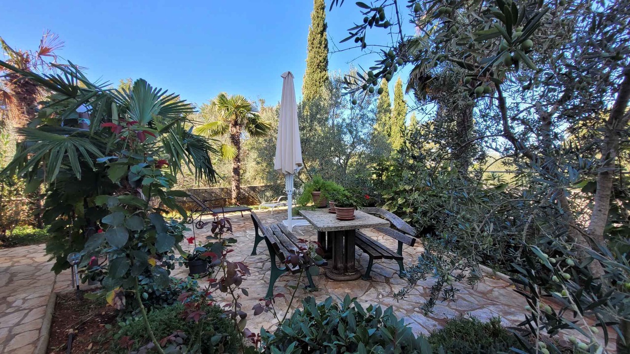 Photo of Outdoor in Milovcici