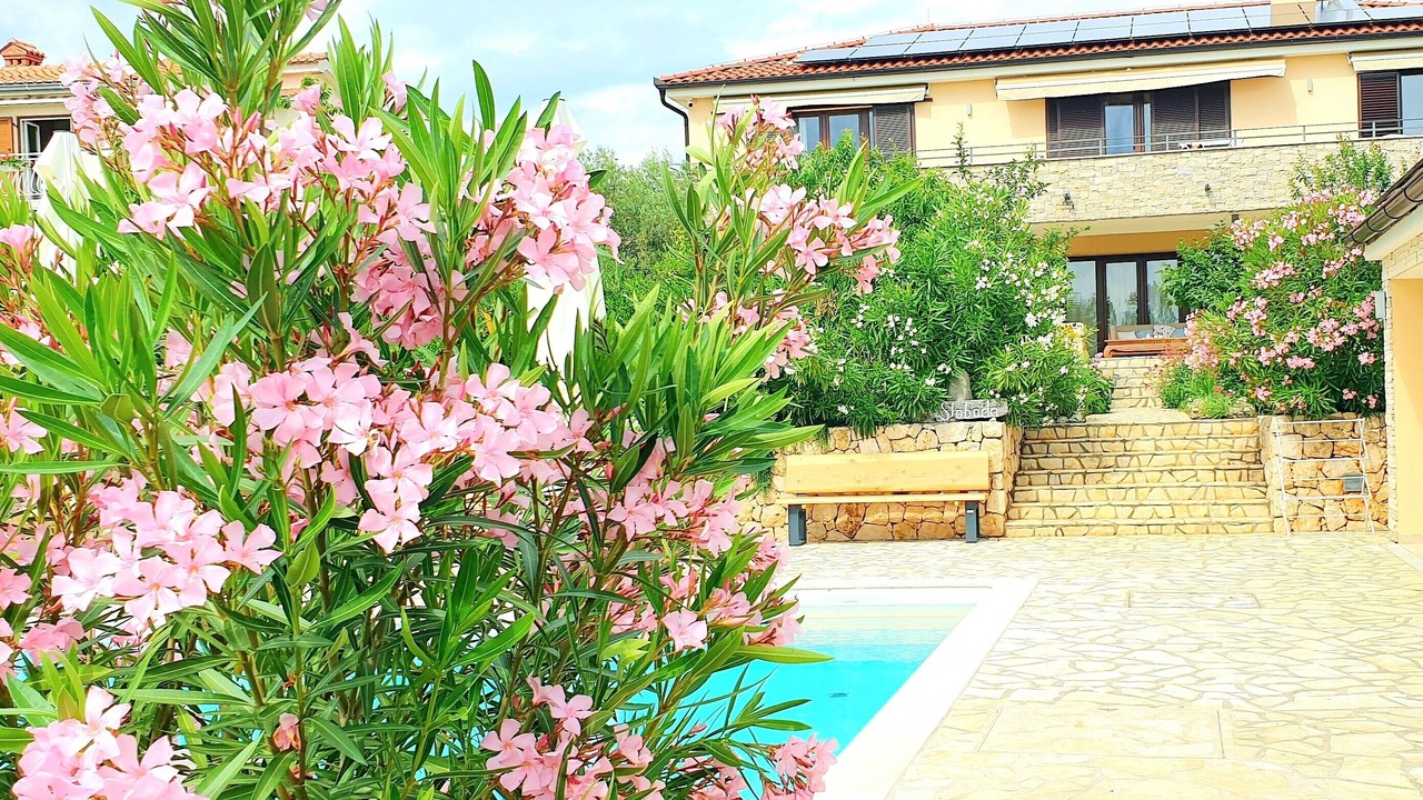 Photo of Outdoor in Pinezici