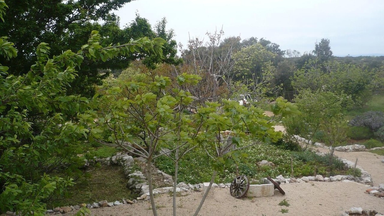 Photo of Others in Cres