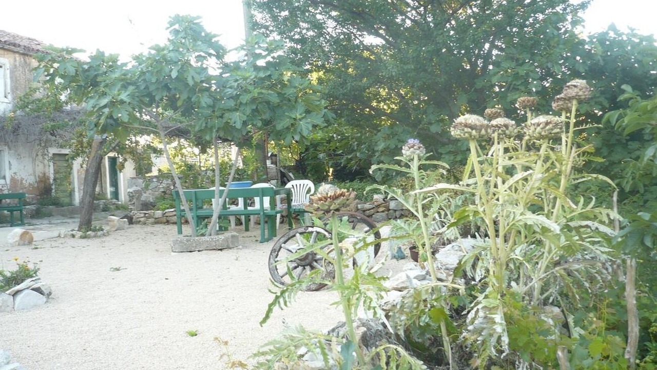 Photo of Others in Cres