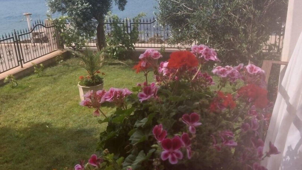 Photo of Outdoor in Martinscica