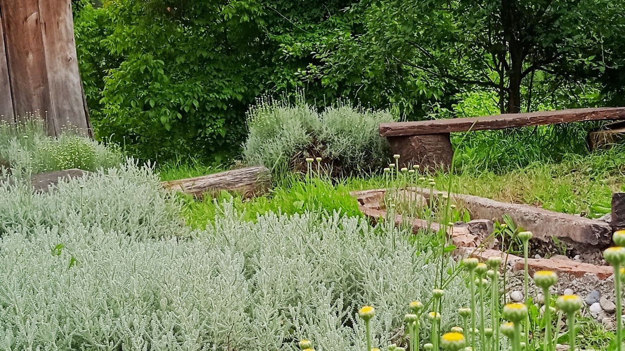 Photo of Outdoor in Veliko Trgovisce