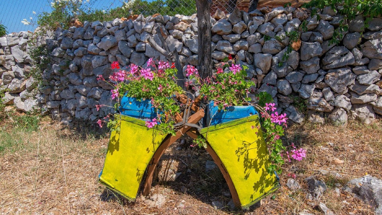 Photo of Outdoor in Veli Losinj