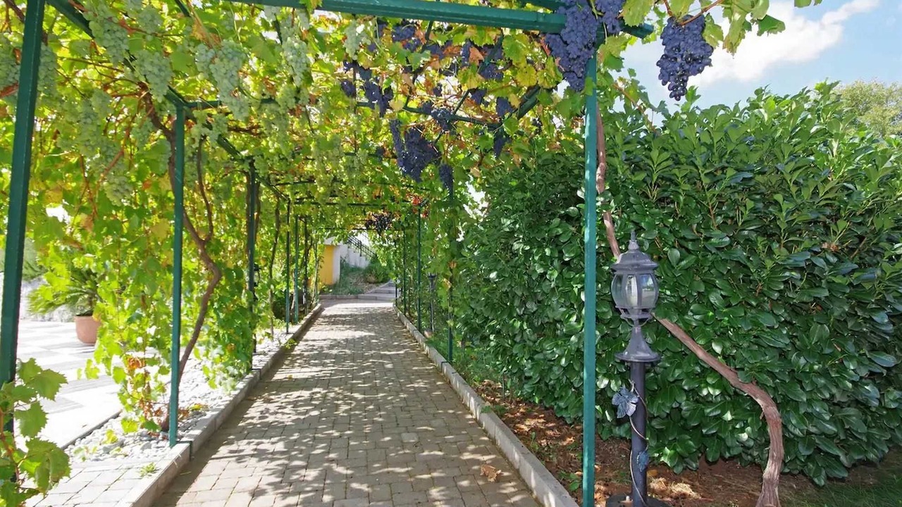 Photo of Outdoor in Cista Provo