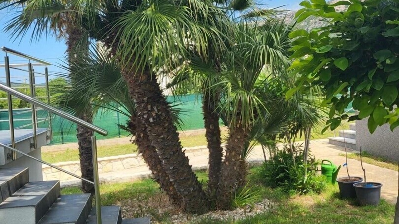 Photo of Outdoor in Draga Bascanska