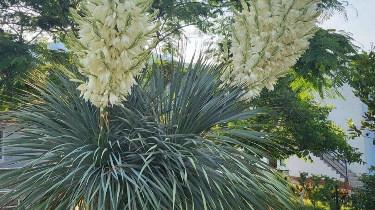 Photo of Outdoor in Draga Bascanska